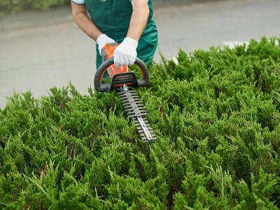 Gardening & Landscaping - Property Maintenance